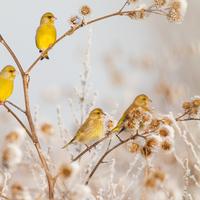 Natuurfotografie workshop amsterdamse waterleidingduinen