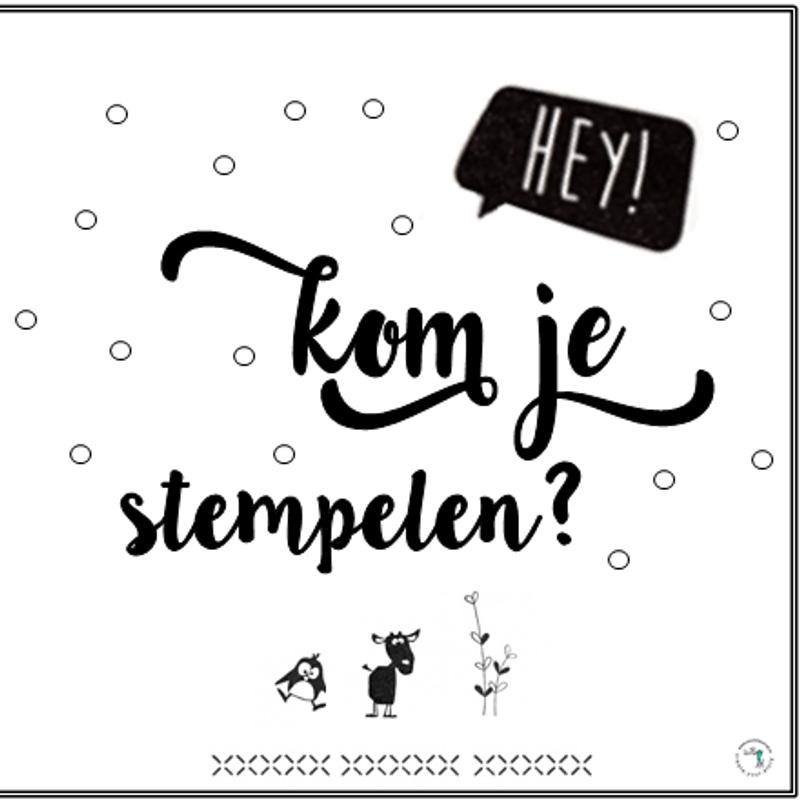 Make & take stempelavond / workshop — foto 2
