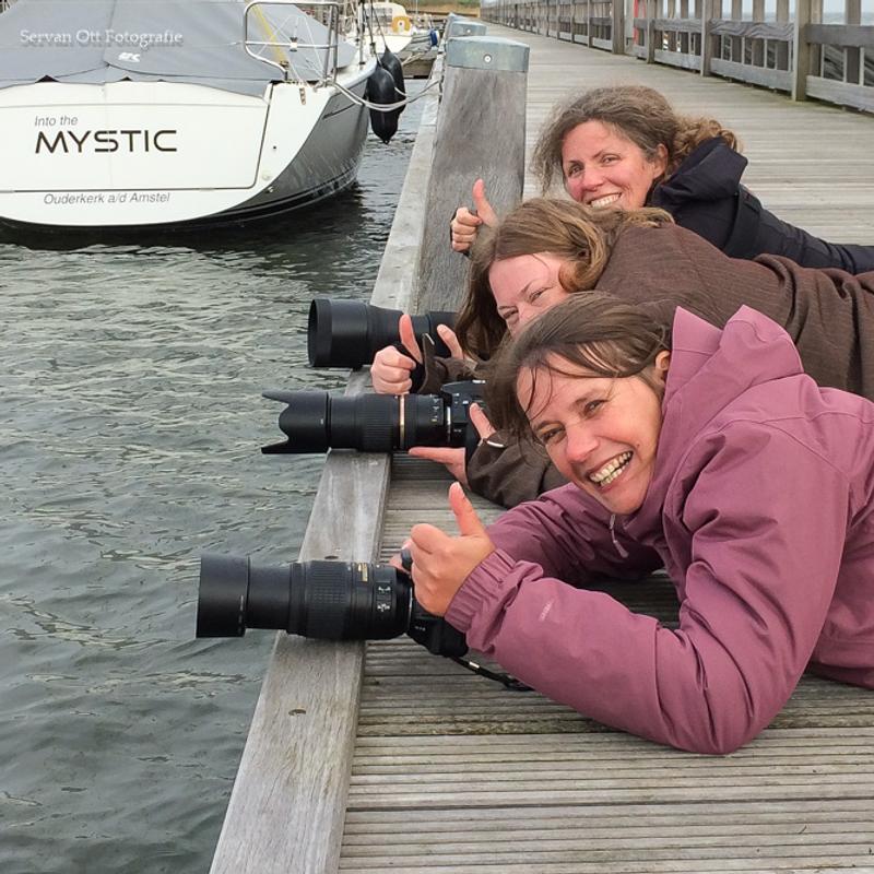 Vogelfotografie workshop balts van de fuut — foto 6