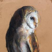 Cursus portret tekenen in noord-brabant (grafiet-houtskool-pastel)