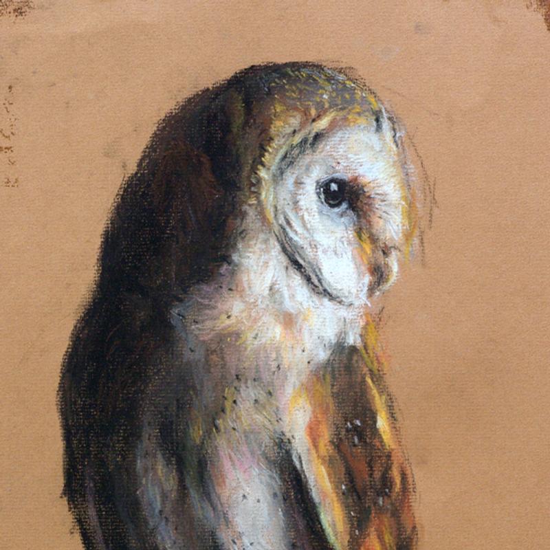 Cursus portret tekenen in noord-brabant (grafiet-houtskool-pastel) — foto 3