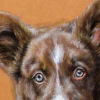 Cursus portret tekenen in noord-brabant (grafiet-houtskool-pastel)