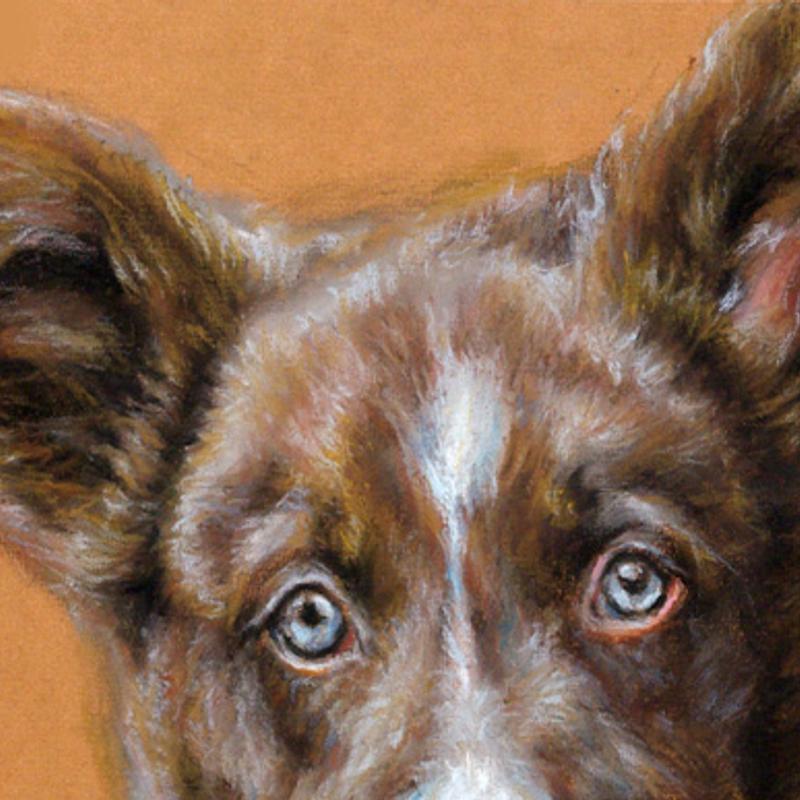 Cursus portret tekenen in noord-brabant (grafiet-houtskool-pastel) — foto 4