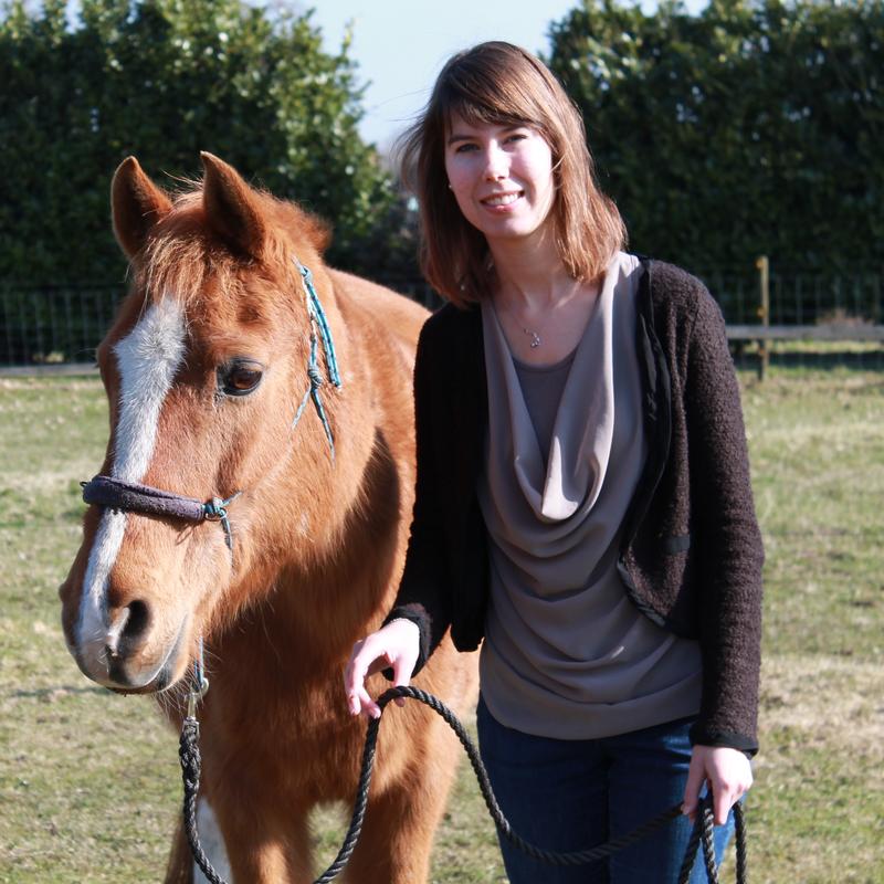 Ontdek je kwaliteiten (met paarden) — foto 2