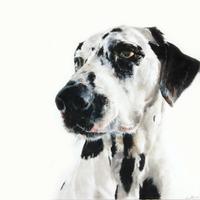 Masterclass portret schilderen, noord-brabant
