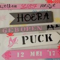 Houten tuinwijzer