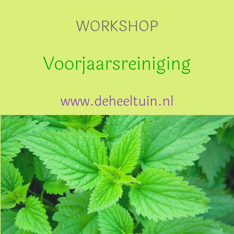 Voorjaarsreiniging / detox — foto 2