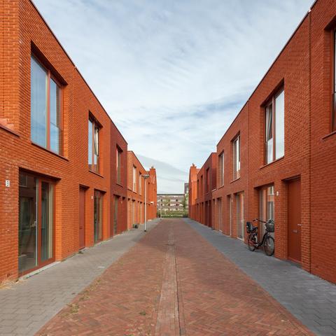 Fotocursus gevorderden haren