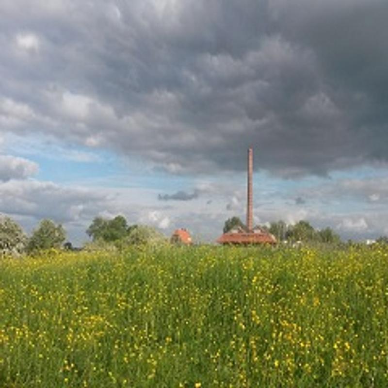 Workshop schilderen — foto 2