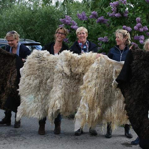 Schapenvacht vilten