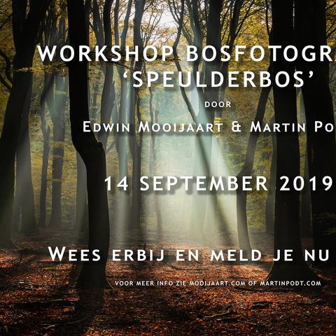 Workshop bosfotografie 'speulderbos'