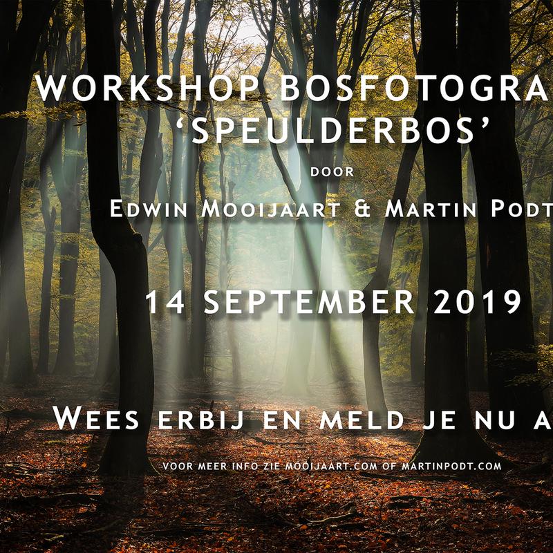 Workshop bosfotografie 'speulderbos' — foto 2