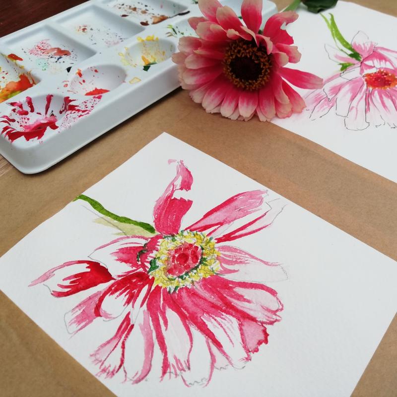 Botanisch tekenen (5 lessen) — foto 3