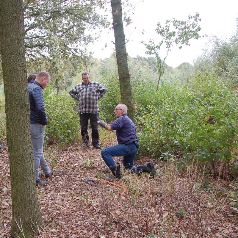 Houthakken in 1 dag