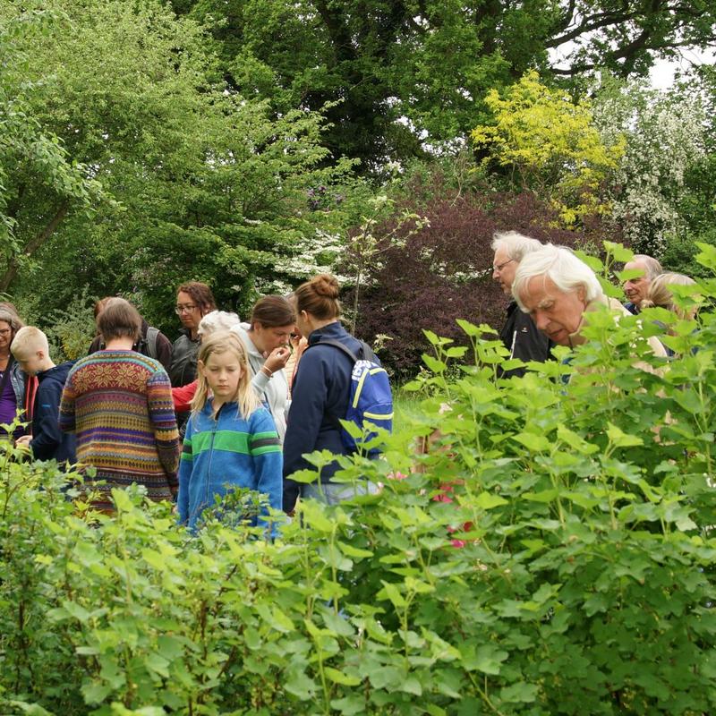Eten uit de natuur — foto 2
