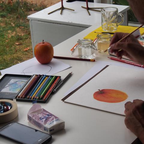 Zomercursus aquarellen in beerze (bij ommen)