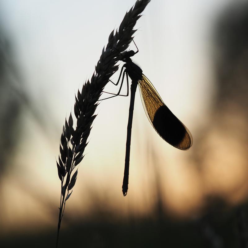 Workshop de basis van fotografie — foto 4