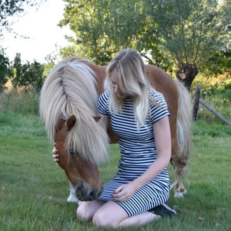 Telepathisch communiceren met dieren — foto 2