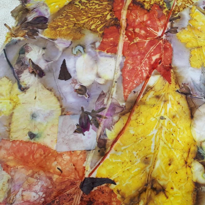 Meer kleur in je botanische print.  dagworkshop — foto 3
