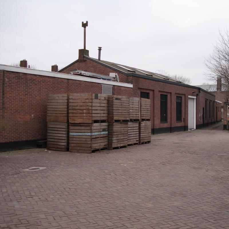 Jan peter van opheusden geeft workshops!