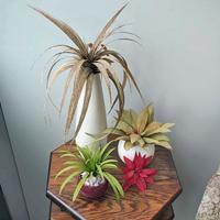 Workshop papieren bloemen