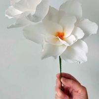 Workshop papieren bloemen