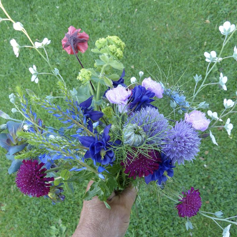 Workshop pluktuinontwerp — foto 4