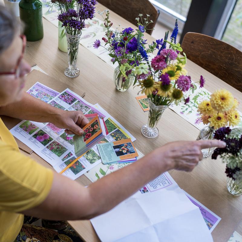 Workshop pluktuinontwerp — foto 5